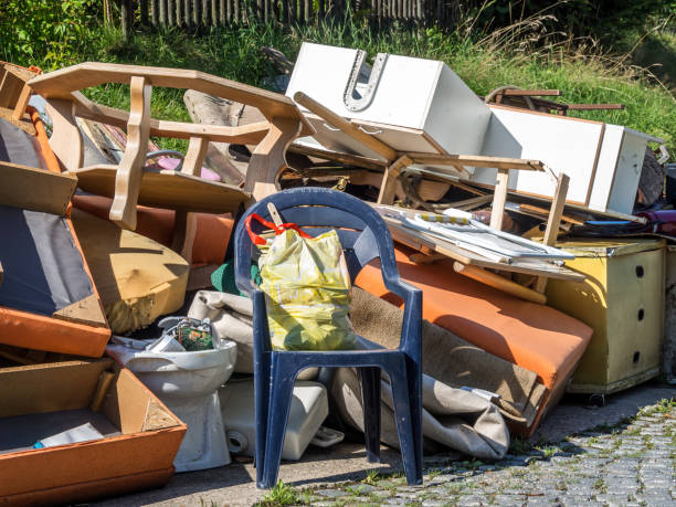 Best Professional Junk Removal  in Janesville, CA